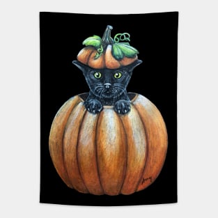 Pumpkit'n Tapestry