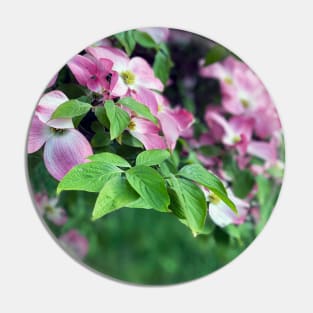 Dogwood Flowers in Spring Pin