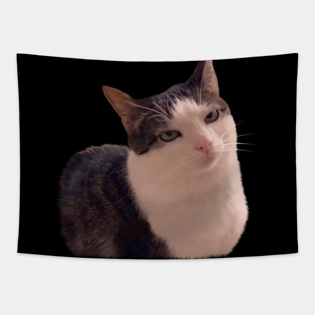 Sarcastic cat rolling eyes meme Tapestry by PrimeStore