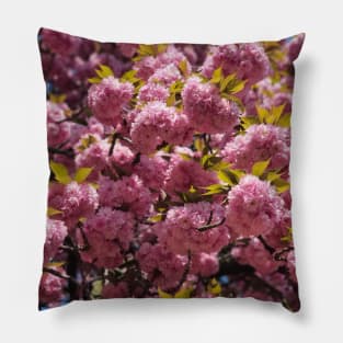 Flower tree | pink cherry blossom tree | Sakura tree Pillow