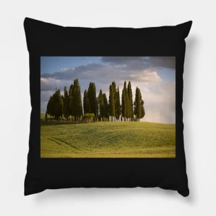 Group of cypress trees in Tuscan landscape Pillow