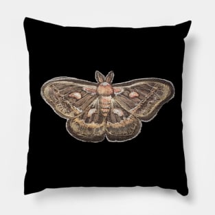 Cecropia silkmoth Pillow