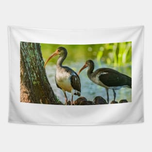 White Ibis Tapestry