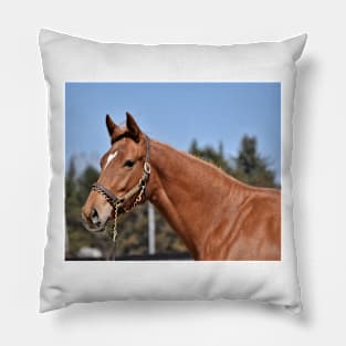 Flaxen Pillow