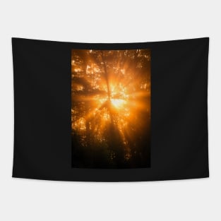 Sunbeam in the Forest Tapestry