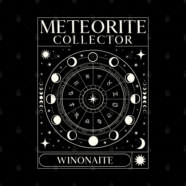 This Meteorite Collector Winonaite Meteorite Meteorite by Meteorite Factory