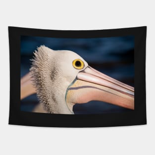 Pelican Portrait, Golden Beach Caloundra Tapestry
