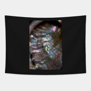 BLACK RAINBOW MOTHER OF PEARL SHELL INLAID METALLIC Tapestry