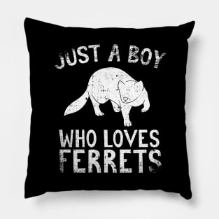 Just A Boy Who Loves Ferrets Pillow