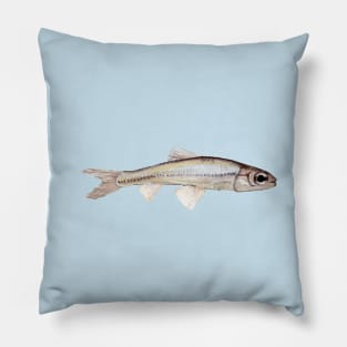 Bigeye Shiner Pillow