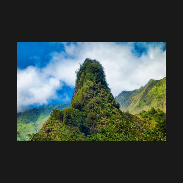 Iao Valley State Monument Study 1 by bobmeyers