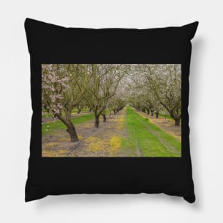Almond Blossoms Pillow