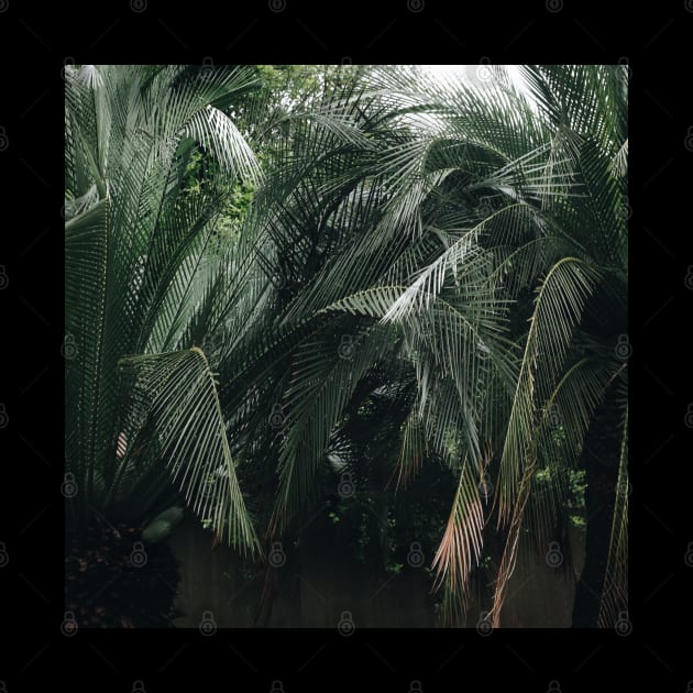 Jungle Palms by StylishPrinting