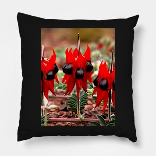 Spring in the Outback: Sturt's Desert Pea Pillow