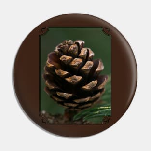 Pine cone Pin