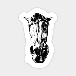 funny horse in black and white - horse head Magnet