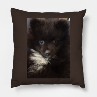 Pom Pom Pillow