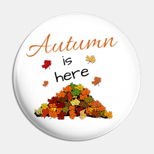 Autumn is here Pin