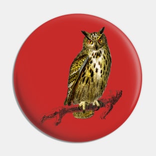 Vintage bubo bubo bird-animalia Pin