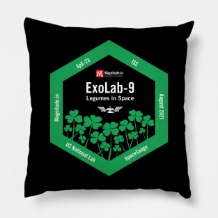 ExoLab-9 Pillow