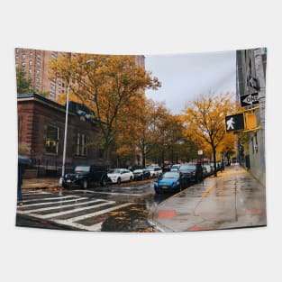 Beautiful Brooklyn Autumn Day Tapestry