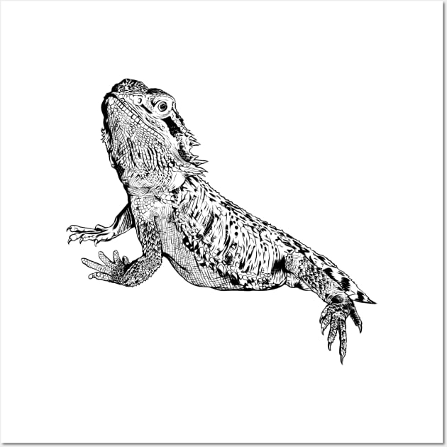 Hand drawn sketch style bearded dragon isolated on white background. Vector  illustration Stock Vector Image & Art - Alamy