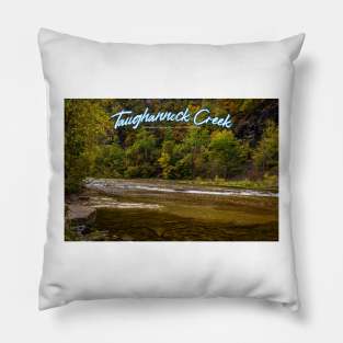 Taughannock Creek Tompkins County New York Pillow