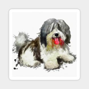 Tibetan Terrier Watercolor - Dog Lovers Magnet