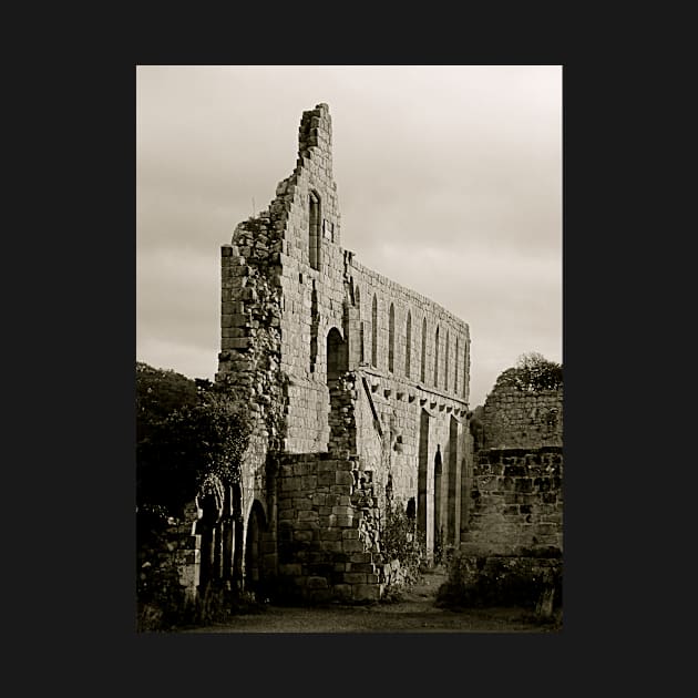 Jervaulx Abbey by newbeltane