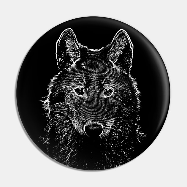 Dramabite Wild grey wolf drawing Pin by dramabite