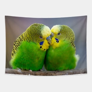 Budgie pair in love Portrait Wall Art Photograph Tapestry