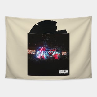 Vinyl Cover Art (Vibrant Afterglow) Tapestry