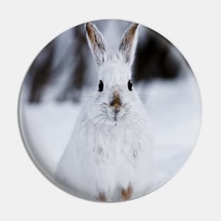 Snow Shoe Hare Pin