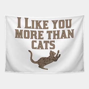 I Love You More Than Cats Tapestry