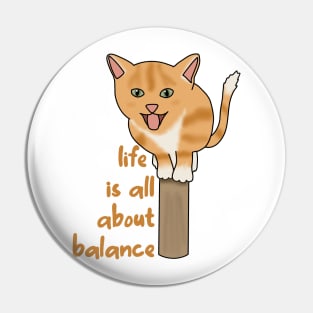 Life is all about balance (fluffy orange cat) Pin