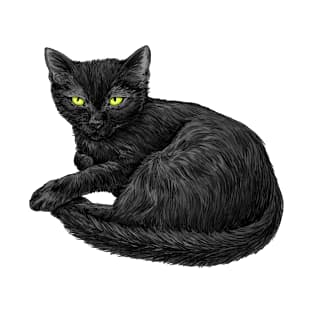 Black cat T-Shirt