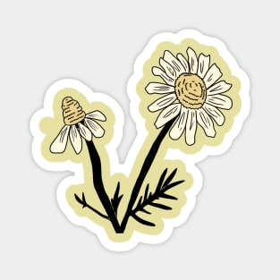 Chamomile Flowers Magnet