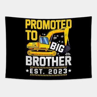 Promoted To Big Bro 2023 Leveled Up To Big Brother 2023 Tapestry