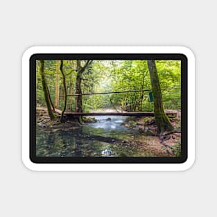 Wooden bridge over river Magnet