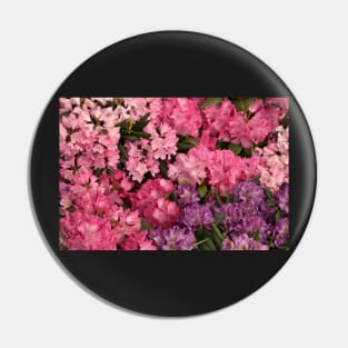 Pink flowers Pin