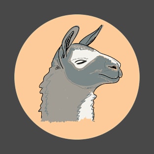 Cute muzzle of a gray llama T-Shirt