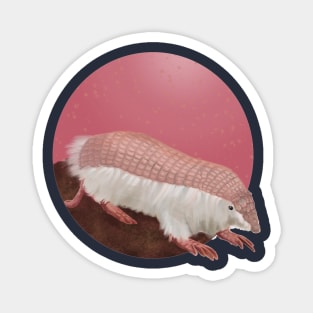 Pink Fairy Armadillo Magnet