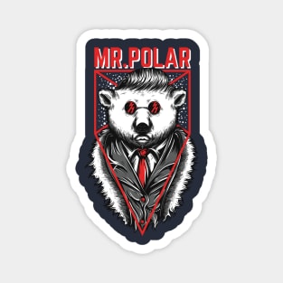 Mr Polar Magnet