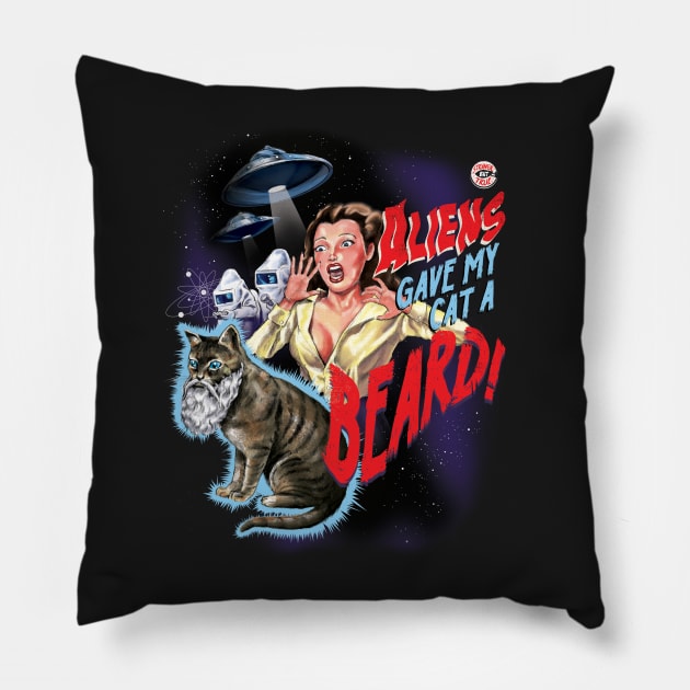 Aliens Gave My Cat a Beard Pillow by Steven Rhodes