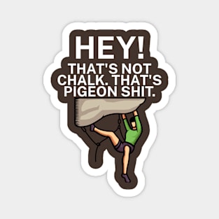 Hey Thats not chalk Thats pigeon shit Magnet