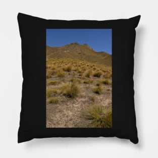 Barren Lindis Pass Pillow