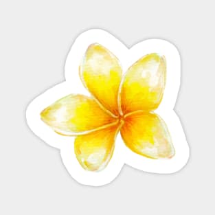 Plumeria Magnet