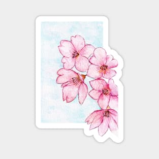 Watercolor - Sakura Magnet