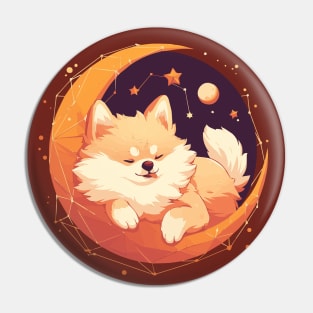 Cute pomeranian sleeping in the night sky Pin