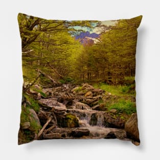 A stream in the forest Pillow